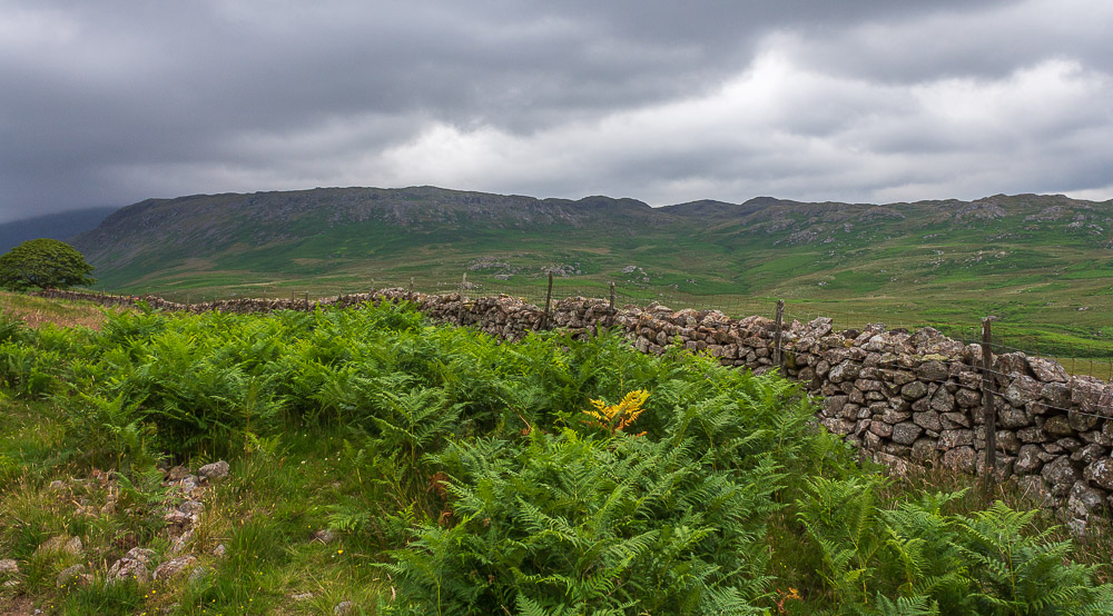 Eskdale Fell Eskdale Fell